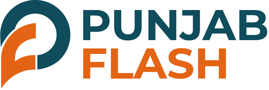 Punjab Flash Logo